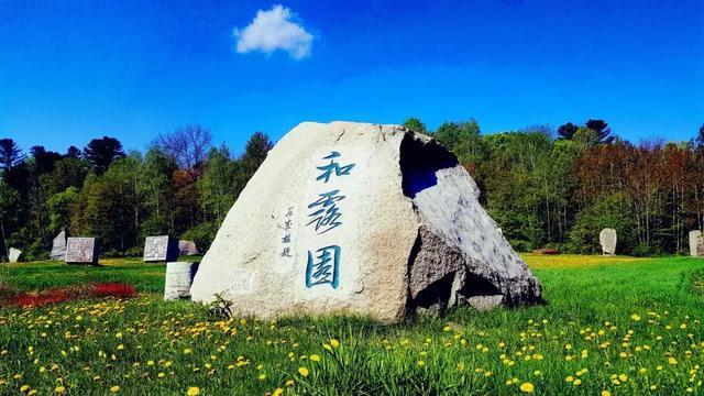 网球公开赛